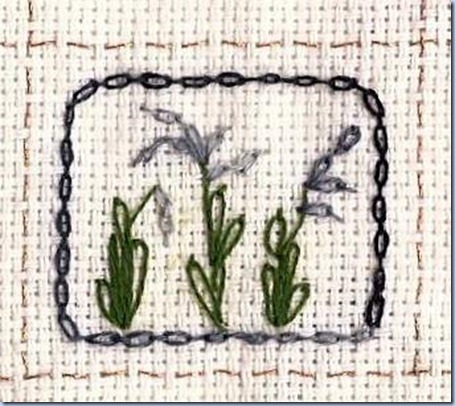 Cable Chain Stitch - Job's Tears Bead Plant