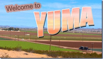 AZ, Yuma - Lettuce Fields Vintage Postcard old look_edited-2